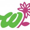 Wedel's Nursery Florist & Garden Center