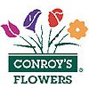 Conroys Flowers