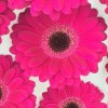 Dillon Floral