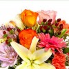 Westport Floral Designs