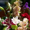 Flowers by Marcia
