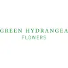 Green Hydrangea