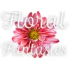 Floral Fantasies