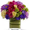 Flower After Flower