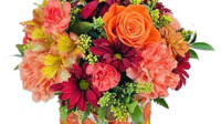 Monroe Florist, Inc.